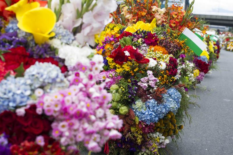 Desfile de Silleteros, Feria de las Flores, Medell...