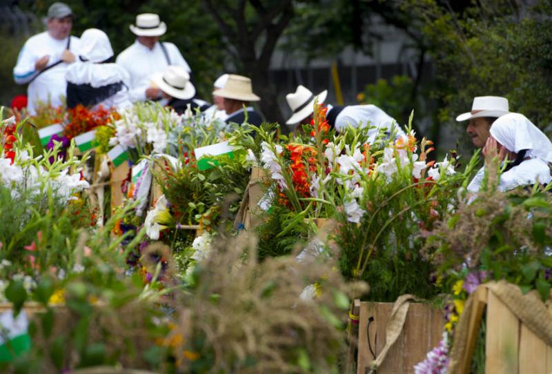 Desfile de Silleteros, Feria de las Flores, Medell...