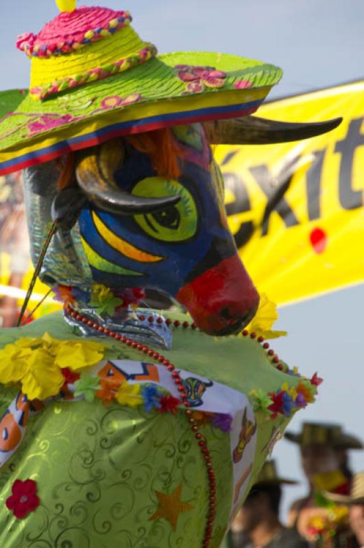 El Torito, Carnaval de Barranquilla, Barranquilla,...