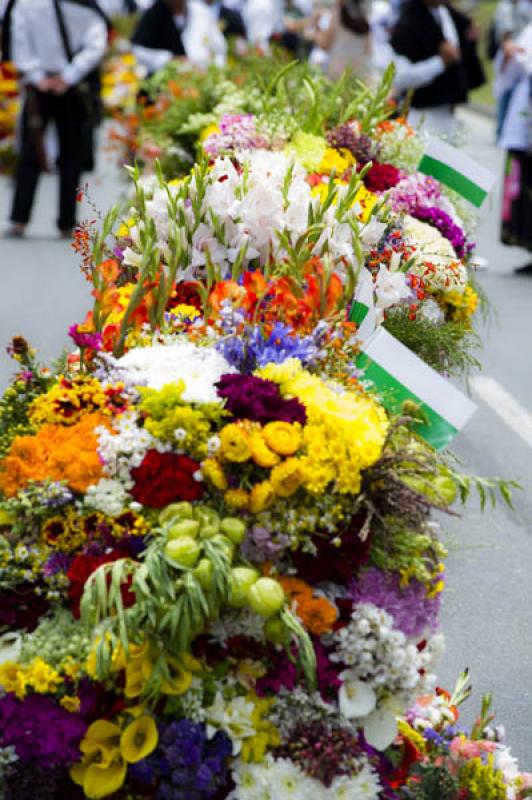 Desfile de Silleteros, Feria de las Flores, Medell...