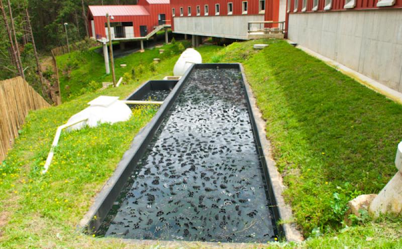 Fuerte de Carabineros, Parque Ecoturistico Arvi, S...