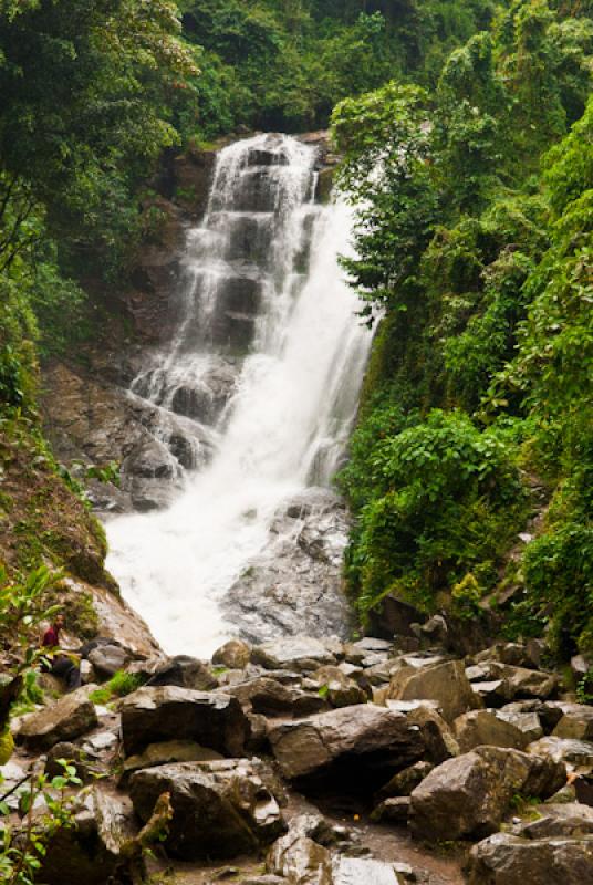 Quebrada Santa Elena, Santa Elena, Medellin, Antio...