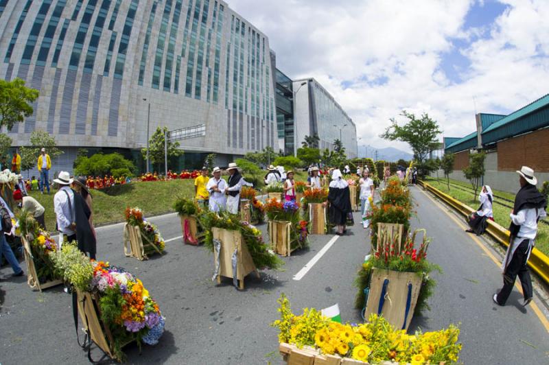 Desfile de Silleteros, Feria de las Flores, Medell...