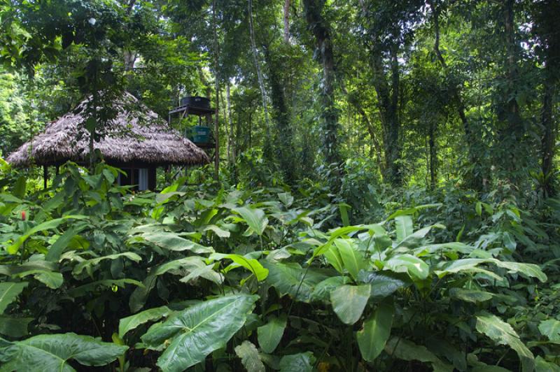 Maloca en Amazonas, Leticia, Colombia