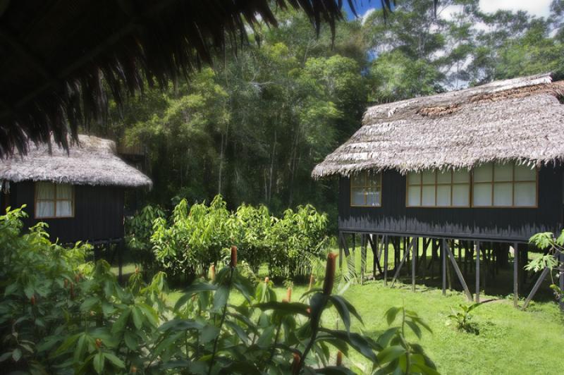 Malocas en Amazonas, Leticia, Colombia