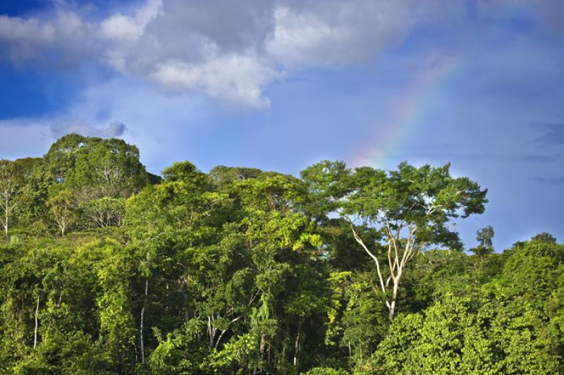 Amazonas, Leticia, Colombia