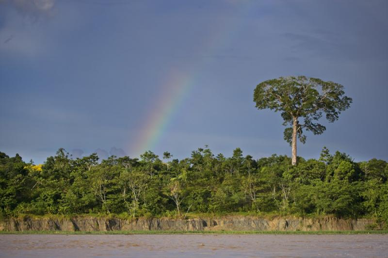 Rio Amazonas, Amazonas, Leticia, Colombia