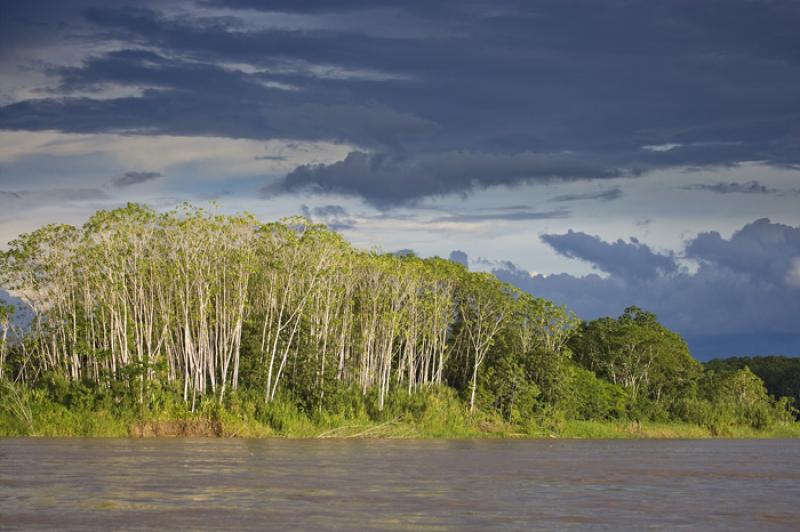 Rio Amazonas, Amazonas, Leticia, Colombia