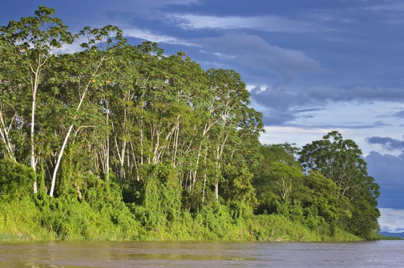 Rio Amazonas, Amazonas, Leticia, Colombia