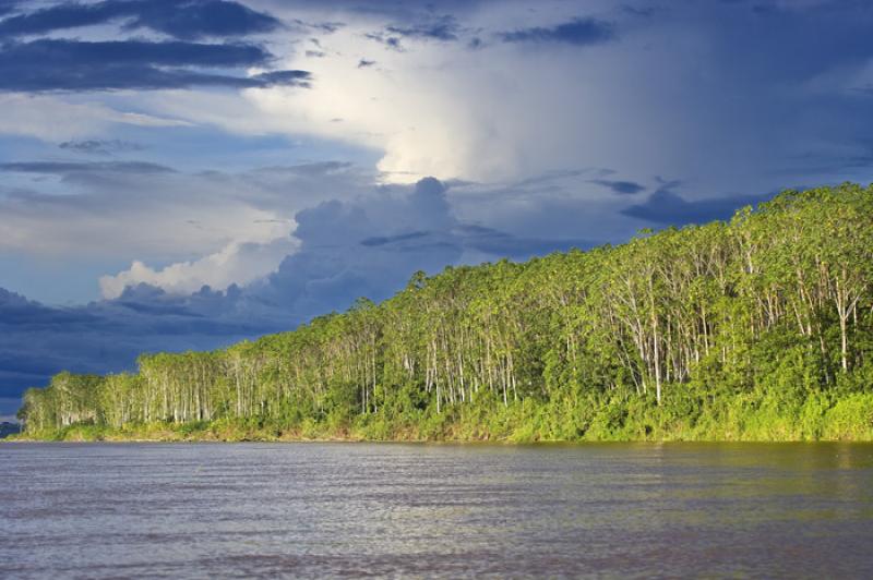 Rio Amazonas, Amazonas, Leticia, Colombia