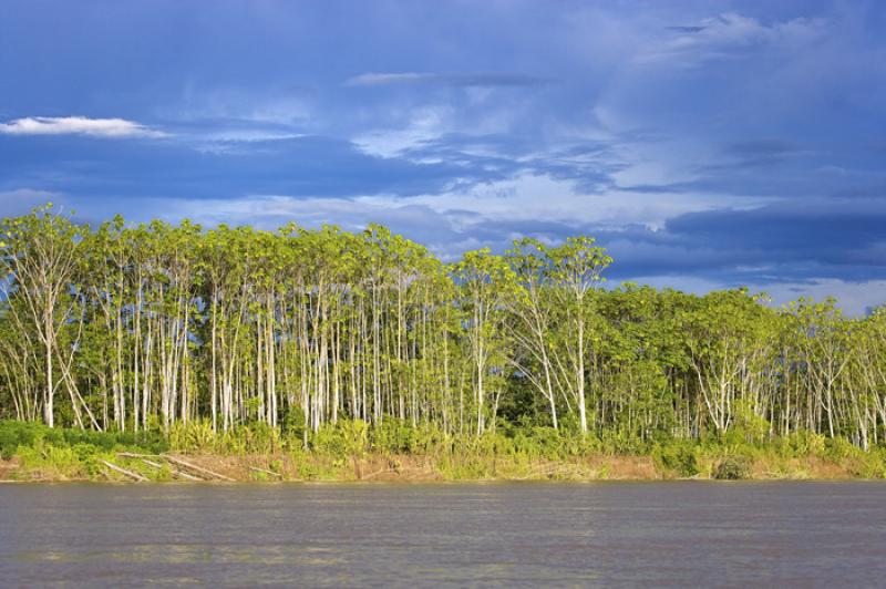 Rio Amazonas, Amazonas, Leticia, Colombia