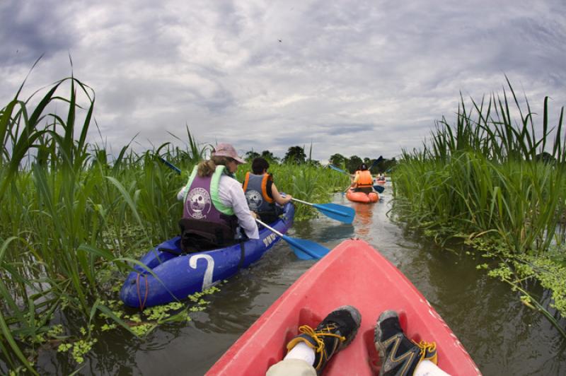 Personas en Kayak, Amazonas, Leticia, Colombia