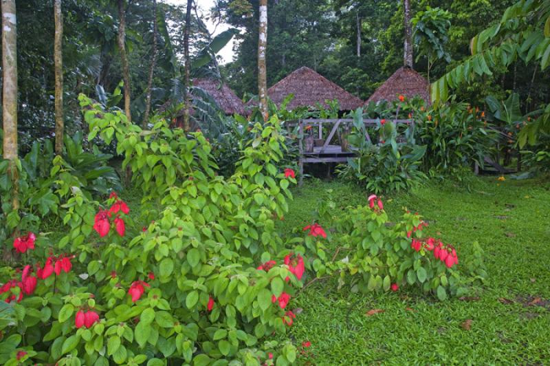 Amazonas, Leticia, Colombia