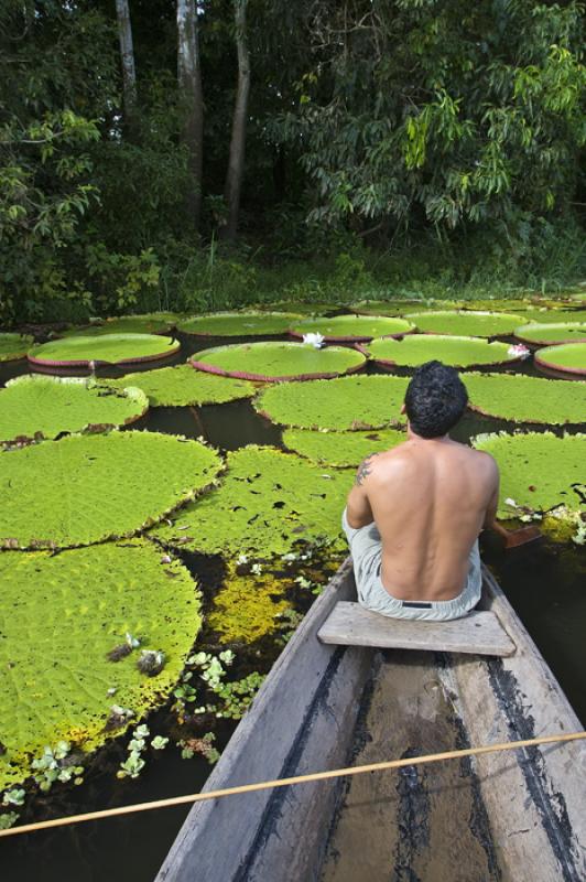 Hombre en una Canoa, Amazonas, Leticia, Colombia