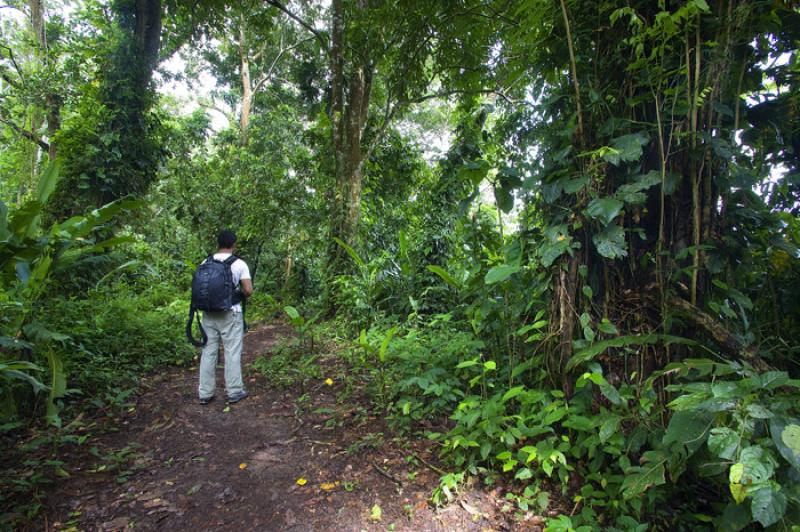 Hombre en la Selva, Amazonas, Leticia, Colombia