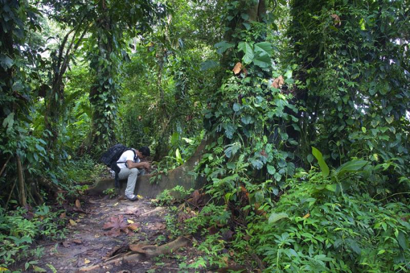 Hombre en la Selva, Amazonas, Leticia, Colombia