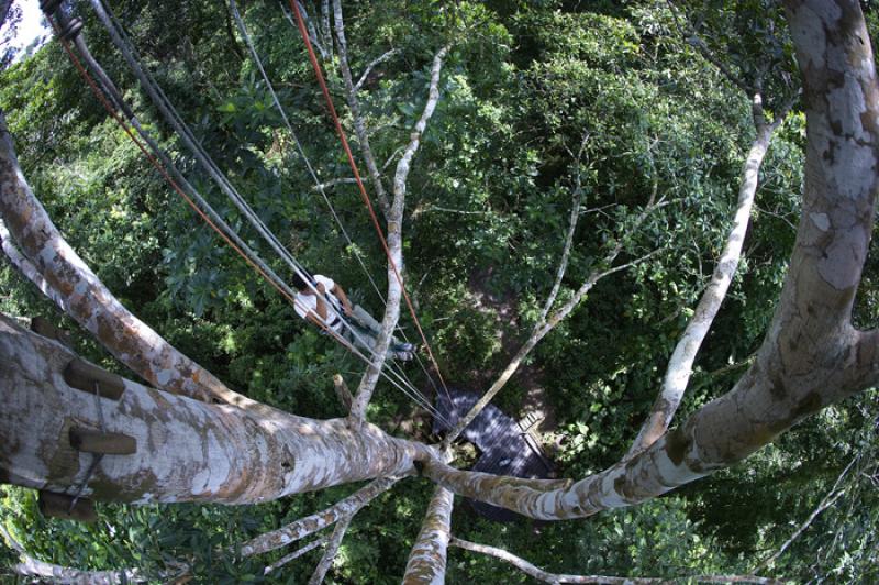 Rapel en la Selva, Amazonas, Leticia, Colombia