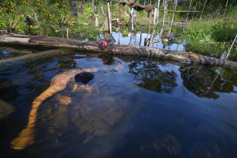 Hombre Tomando un BaÃ±o, Amazonas, Leticia, Colo...