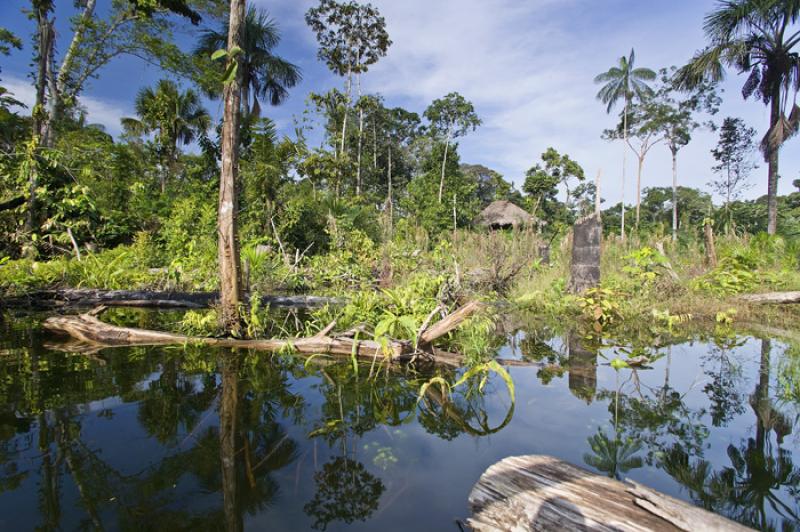 Amazonas, Leticia, Colombia