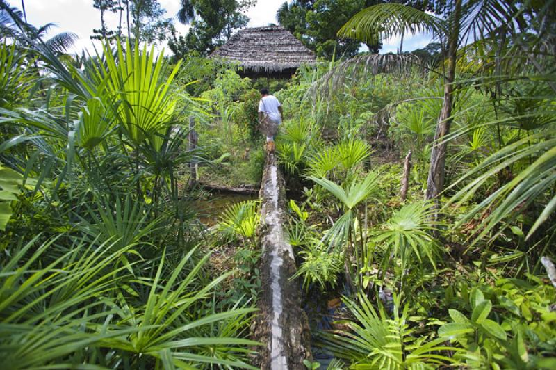 Amazonas, Leticia, Colombia