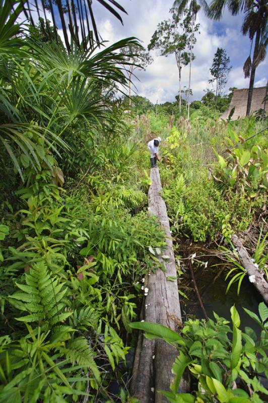 Amazonas, Leticia, Colombia