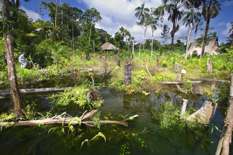 Amazonas, Leticia, Colombia