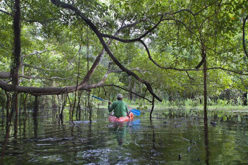 Hombre en Kayak, Amazonas, Leticia, Colombia