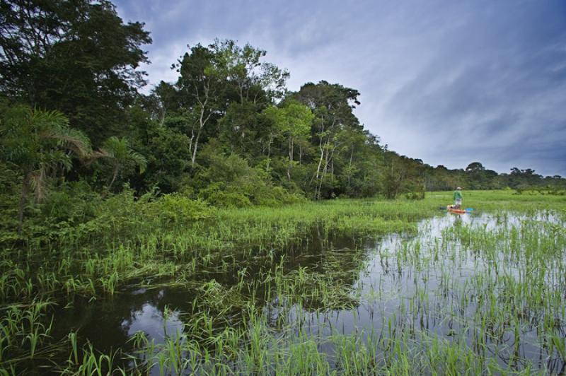 Amazonas, Leticia, Colombia