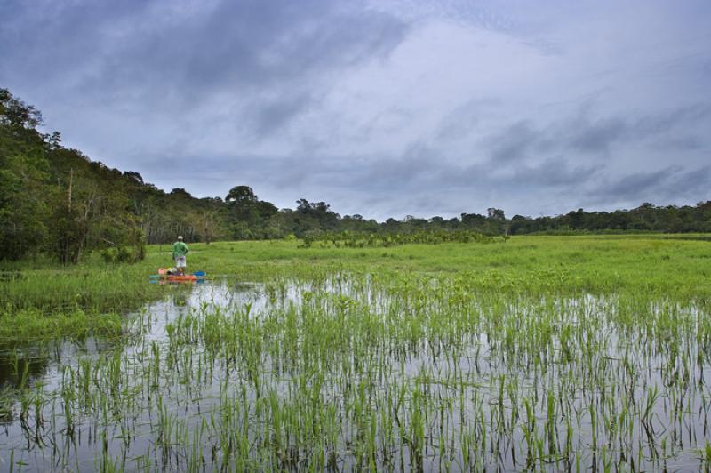 Amazonas, Leticia, Colombia