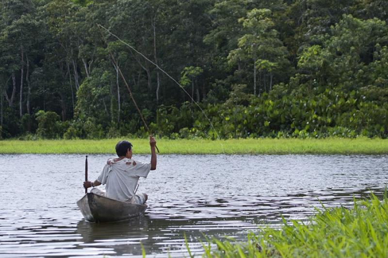 Pescador en su Canoa, Amazonas, Leticia, Colombia