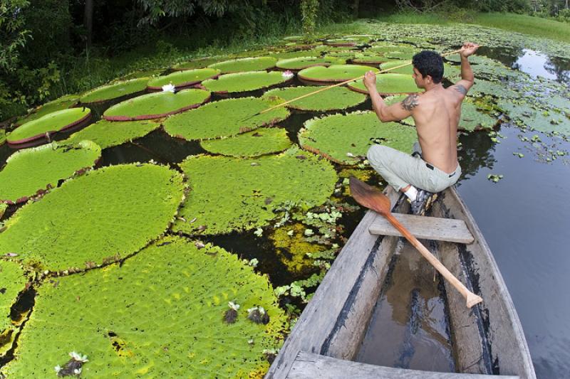 Hombre en una Canoa, Amazonas, Leticia, Colombia