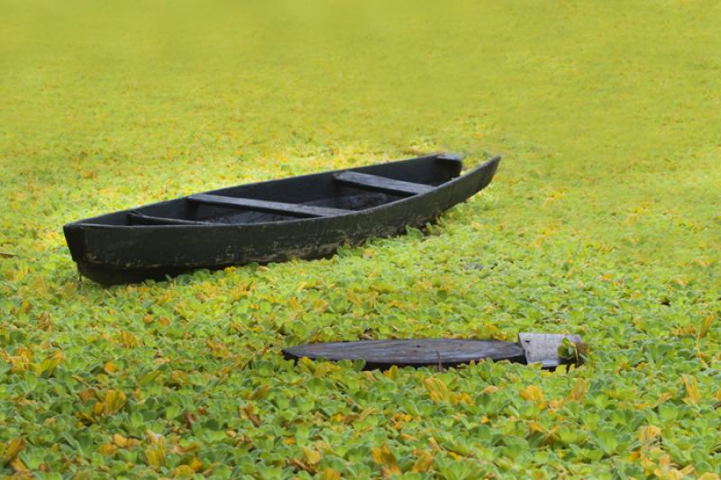 Canoa del Hotel Decameron Decalodge Ticuna, Amazon...