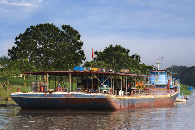 Planchon en el Rio Amazonas, Amazonas, Leticia, Co...