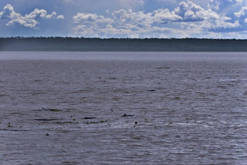 Rio Amazonas, Amazonas, Leticia, Colombia