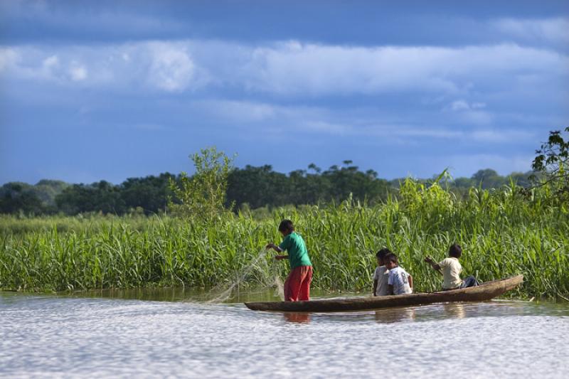 NiÃ±os Pescando, Amazonas, Leticia, Colombia