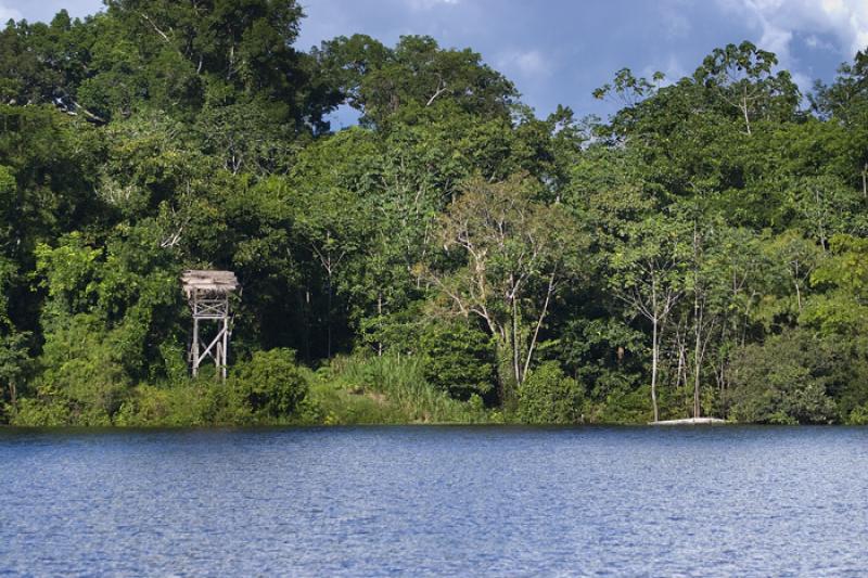 Rio Amazonas, Amazonas, Leticia, Colombia