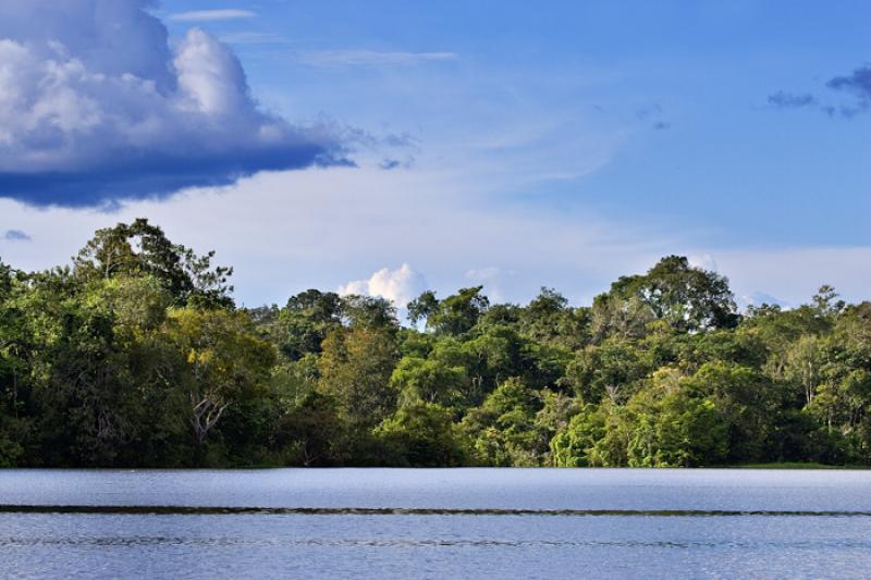 Rio Amazonas, Amazonas, Leticia, Colombia