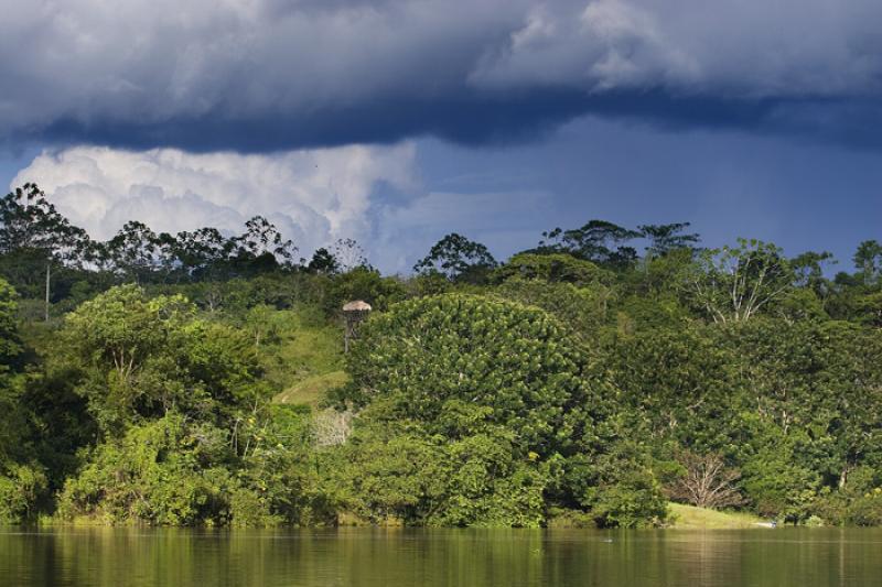 Rio Amazonas, Amazonas, Leticia, Colombia