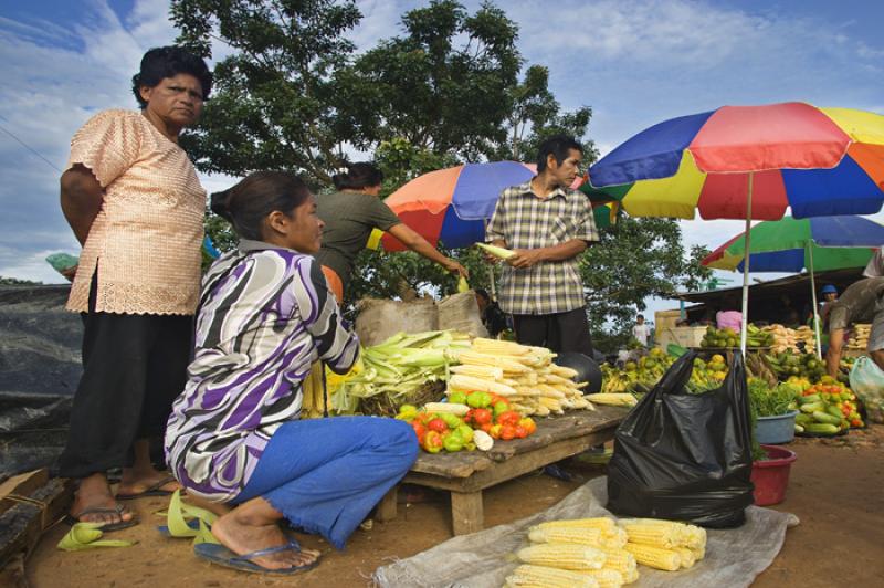 Mujeres Vendiendo Frutas, Amazonas, Leticia, Colom...