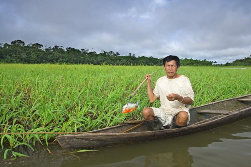 Pescador en su Canoa, Amazonas, Leticia, Colombia