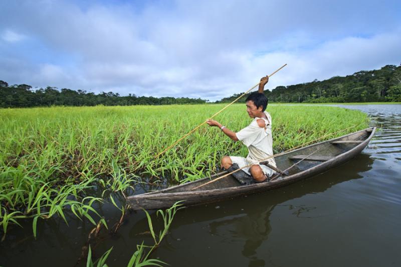 Pescador en su Canoa, Amazonas, Leticia, Colombia