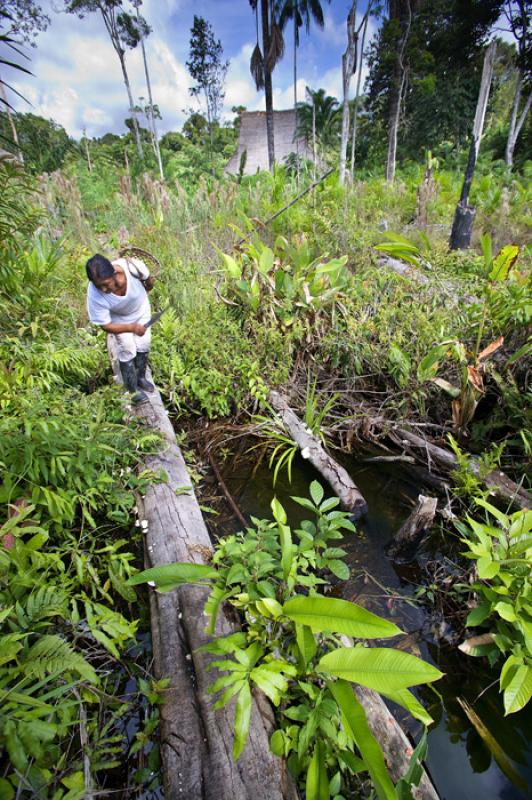 Mujer Trabajando, Amazonas, Leticia, Colombia