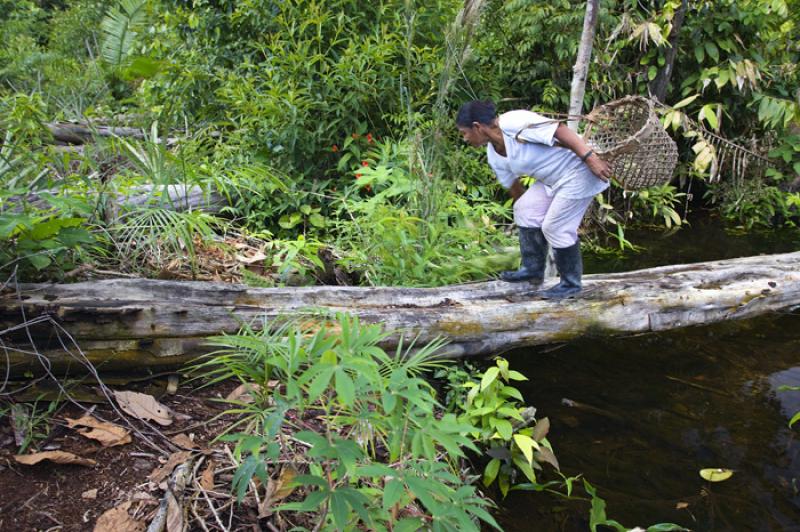 Mujer Trabajando, Amazonas, Leticia, Colombia