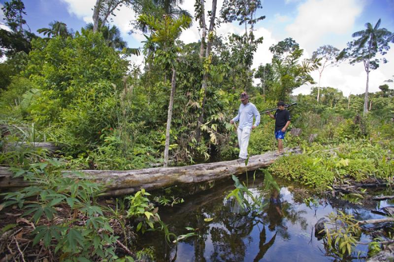 Hombres Trabajando, Amazonas, Leticia, Colombia