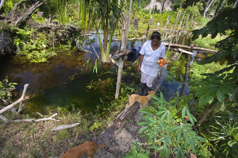 Mujer Trabajando, Amazonas, Leticia, Colombia