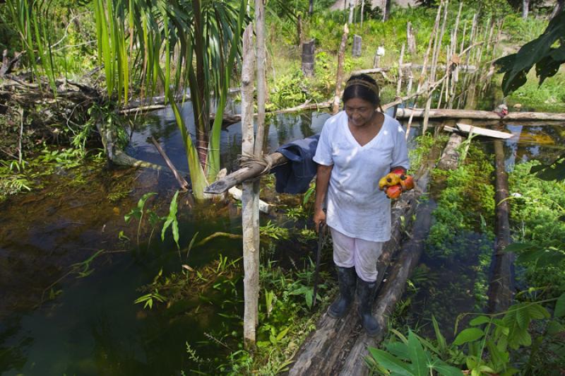 Mujer Trabajando, Amazonas, Leticia, Colombia