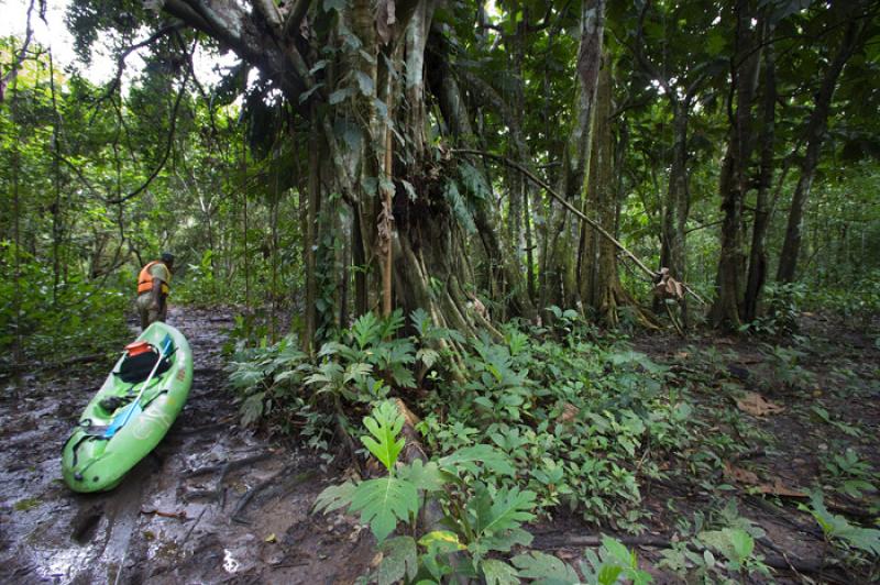 Hombre en la Selva, Amazonas, Leticia, Colombia