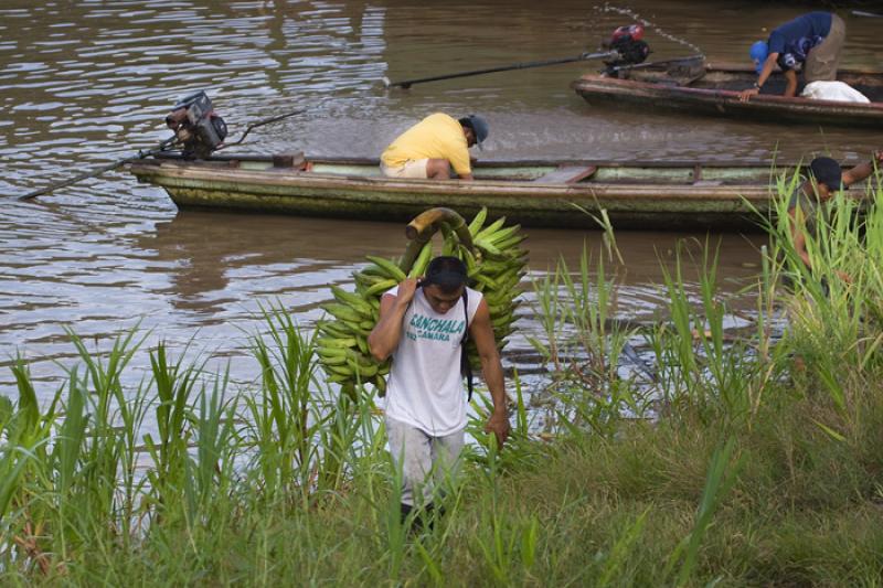 Hombre Trabajando, Amazonas, Leticia, Colombia