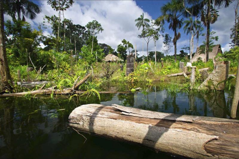 Amazonas, Leticia, Colombia