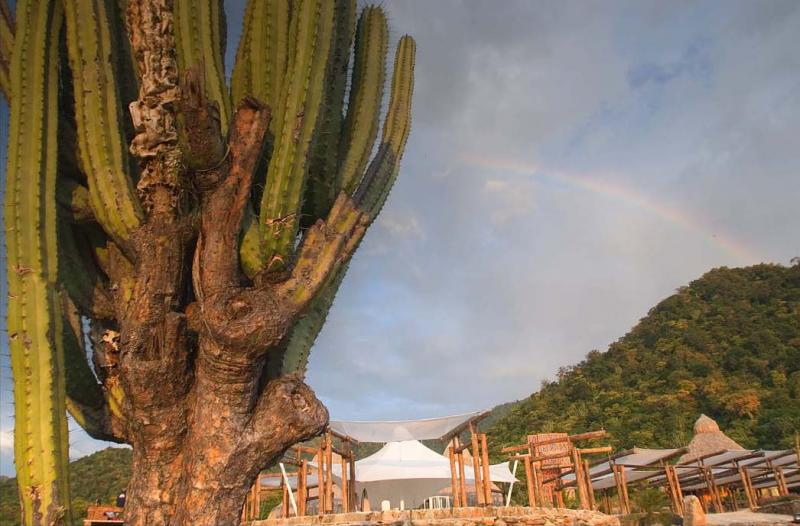 Mamancana Santa Marta, Magdalena, Colombia